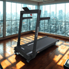 Endurance Athlete Treadmill- Space Saving High Quality + Incline