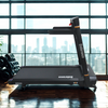 Endurance Athlete Treadmill- Space Saving High Quality + Incline