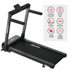 Endurance Athlete Treadmill- Space Saving High Quality + Incline