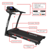 Endurance Marathon Treadmill