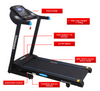 Endurance Zoom Treadmill